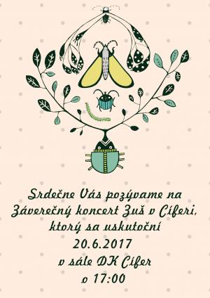 Záverečný koncert ZUŠ - 20.6.2017 1