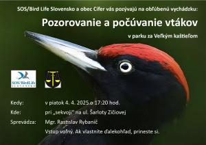 Pozorovanie a počúvanie vtákov v parku za Veľkým kaštielom - 4.4.2025 1